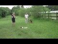 Eikou de Ramdu - Protection Training