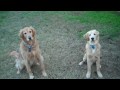 charles and ronix