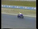 team arca adios vichingo