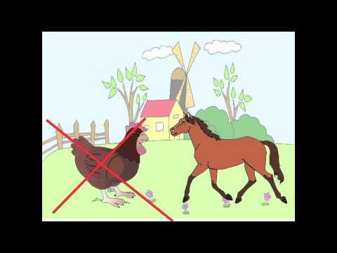 Image de prévisualisation YouTube