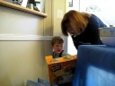 I See Dinosaur!