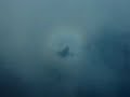 Fly Like An Angel