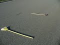 Re: longest ollie