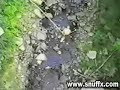 saut elastique raté saut elastique raté