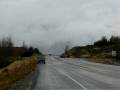 videos de Elk Crossing