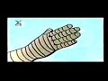 Mighty Thor - The Terror of the Tomb - part 2