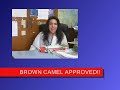 Brown Camel