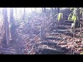 Click here to watch this video 散歩（超音波技術について）