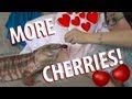 ☜ I Want More Cherries!