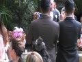 Sweetest Wedding Entrance