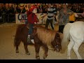 Photos du salon du cheval