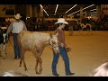 Photos du salon du cheval