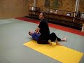 jun fan jeet kune do trapping  michel rozzi 