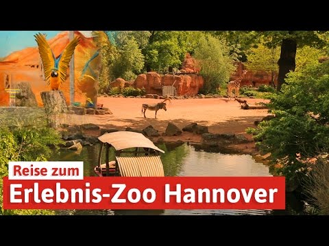 Hannover: Erlebnis-Zoo Hannover - Reise in die Welt ...