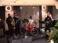 Menachem Herman Orchestra