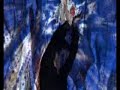 Performance Paintings