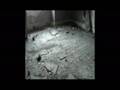 Akira Yamaoka - Magdalene