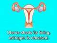 Pregnancy: Weeks 1-4 (Month #1)