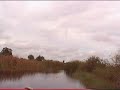 everglades