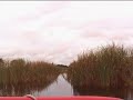 everglades