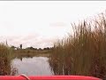 everglades