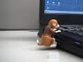 Perro USB