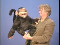 CHEEKY MONKEY Puppet by Axtell Expressions