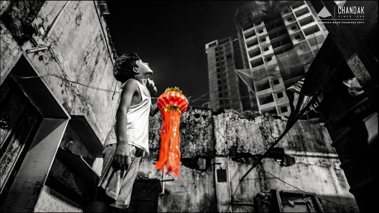 Distinguished Leadership