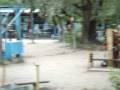 videos de MOV02466.MPG
