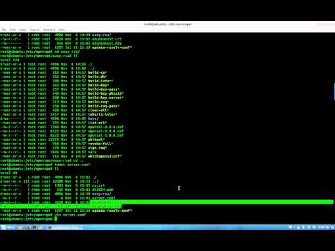 how to openvpn linux