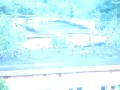 вороны