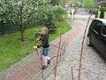 bisha i uzi Manele-Gratis.net