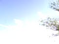 Great Planes Miglet Himax 2015-3600 Castle Creation 25