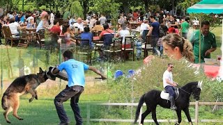 Dostluğun Adresi   Club K9 videosunun kapak resmi