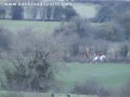 helicopter-gives-deer-blow-job-saving-its-life.html