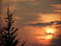 Mikael Sjoberg - Serenity