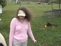 Break it Down Doggie Style ~ Disco Dog