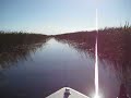 Everglades III