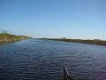 Everglades III