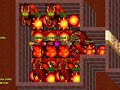 Anihi Tibia Anihi Tibia
