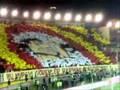 bu kupay� g�ren son fenerli