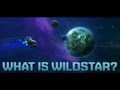 What is WildStar?
