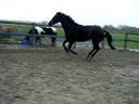 Tessa los in de bak
