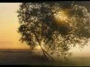 THE CHARM OF MORNING LIGHT