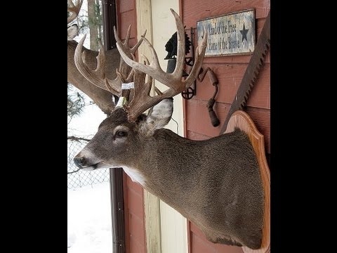 how to skin a deer video