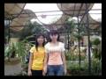 videos de ven and linh-0