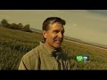 Dixon Corn Maze Is World\ Dixon Corn Maze Is World\