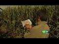 Dixon Corn Maze Is World's Largest
