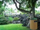Skylar at the Sheraton in Kona, HI