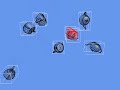 Real-time Animation Collision Detection Jonathan Ruttle